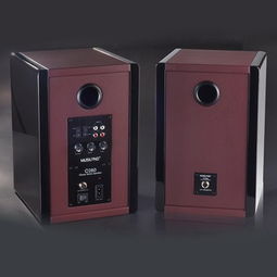 乐之邦C280 HiFi音箱 电子分频技术与铸铝盆架低音的卓越融合